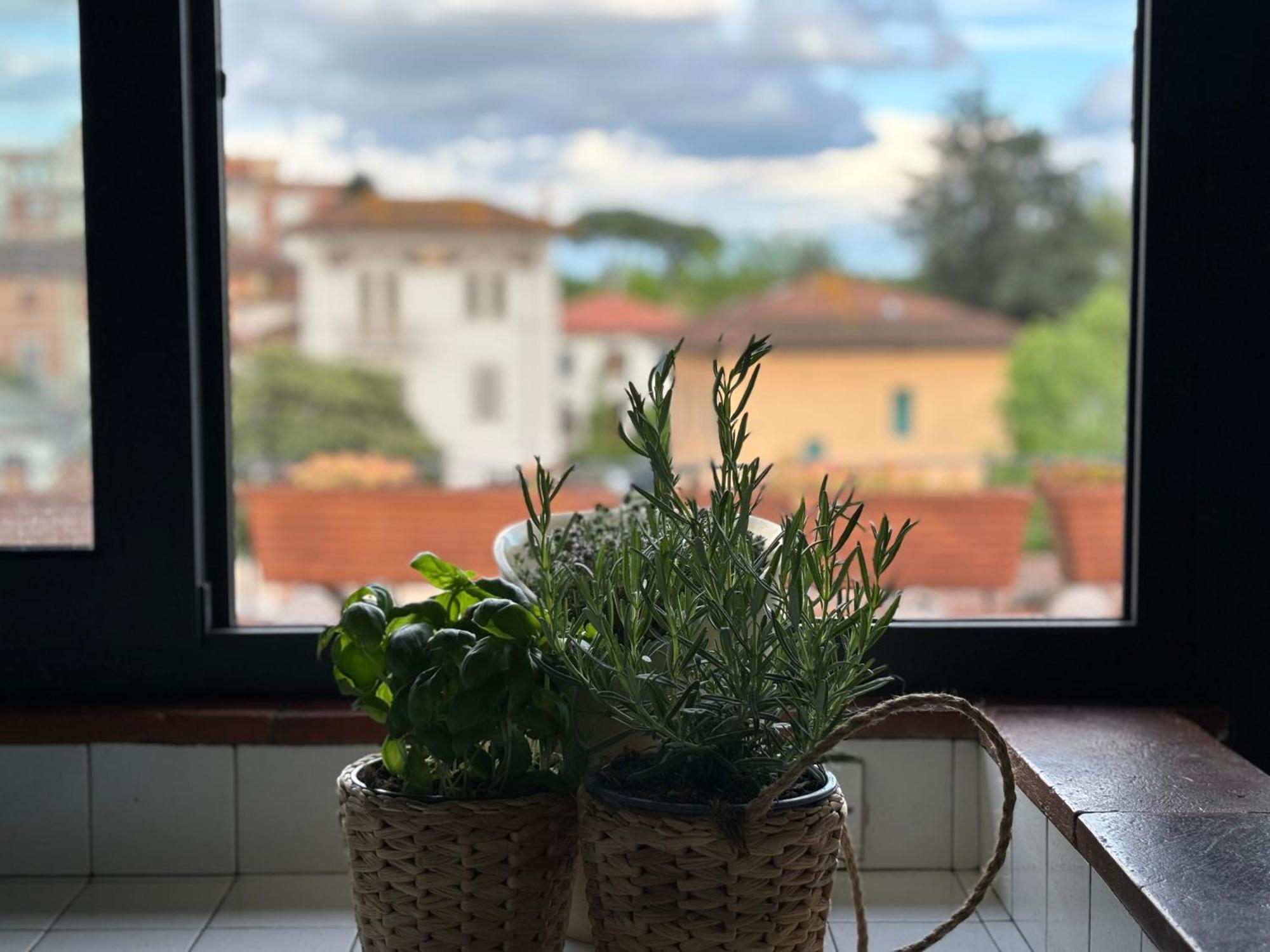 Lovely Apartment Lucca Kültér fotó